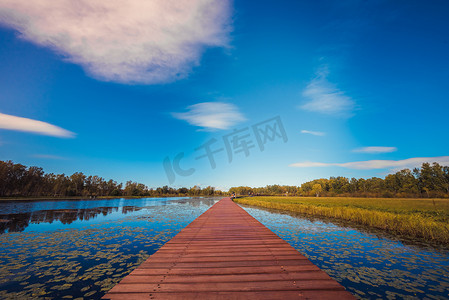 椰树倒影摄影照片_湖中红色木桥自然风光摄影图