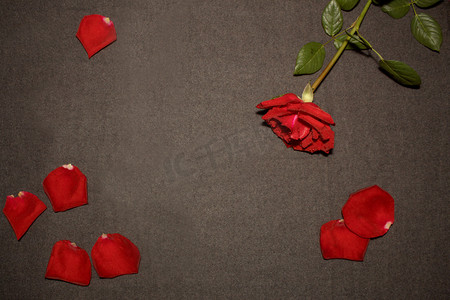 红色金色珠花摄影照片_红色玫瑰花摄影图