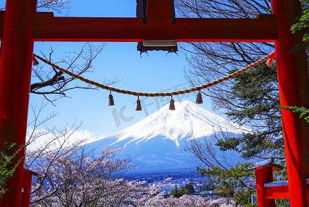 日本罗汉松摄影照片_日本富士山和红色鸟居摄影图