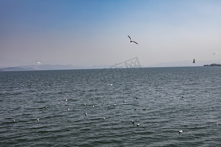 海景海岸线海水摄影图