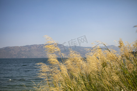 自然风景大海湖泊自然风景摄影图
