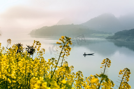 渔船水面和油菜花摄影图