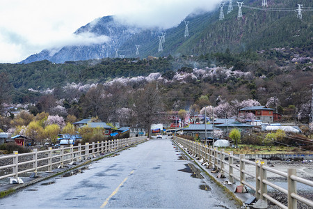 你好四月摄影照片_西藏林芝风景摄影图