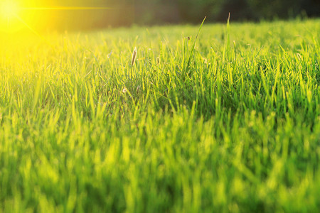 阳光摄影图片-阳光摄影作品-千库网