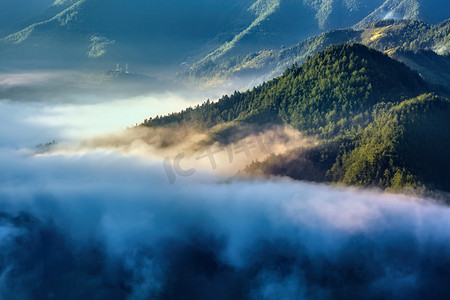 草木云海和山峰摄影图