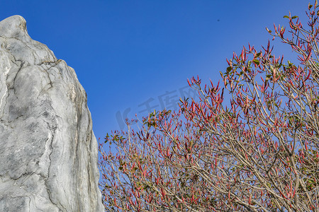 自然风光神奇石壁怪石摄影图
