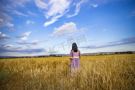 秋收摄影照片_金色麦田里女孩摄影图