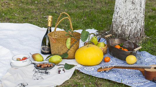 垫摄影照片_春天野餐水果特写餐饮美食摄影图