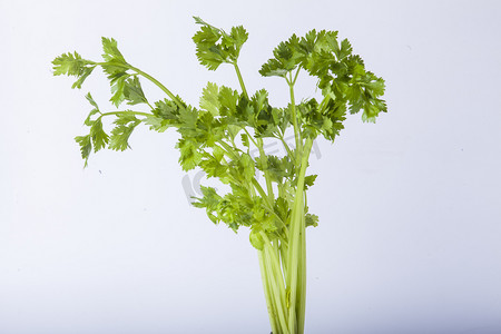 芹菜炒肉丝摄影照片_一颗新鲜芹菜摄影图