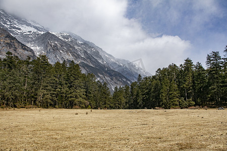 绿水青山艺术字摄影照片_自然风景青山古树森林摄影图