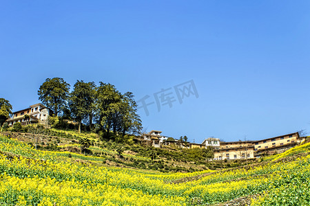 春天油菜花和村庄摄影图