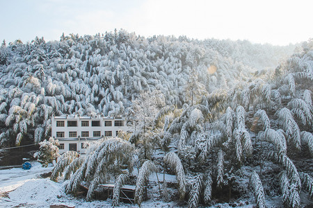 冬天雪景摄影图