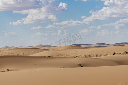 沙漠求生摄影照片_沙漠风光