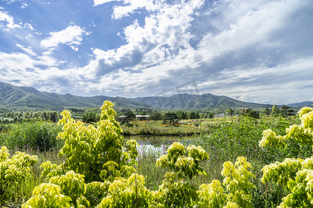 木兰坝上钓鱼台湿地公园