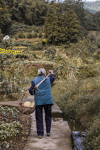 重阳节农村路边的老人照片