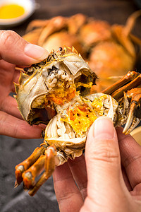 国潮风迎国庆摄影照片_复古秋天美食螃蟹的蟹黄