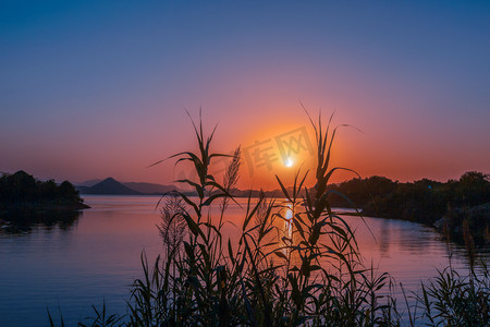 千岛湖晚霞芦苇摄影图