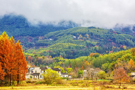 红叶村子和山峰的照片