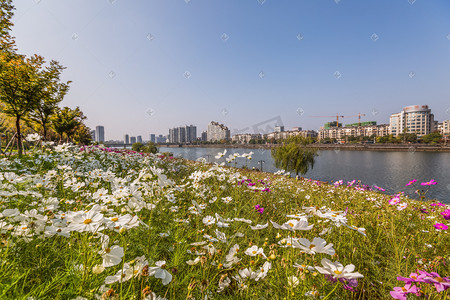 江面摄影照片_格栅花公园江面城市房屋摄影图