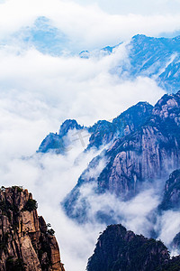 松树山峰和云海的照片