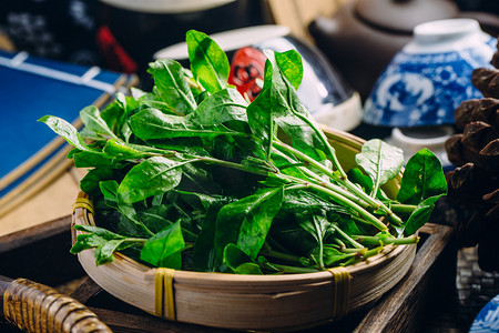 瘦身摄影照片_枸杞芽蔬菜食材摄影图