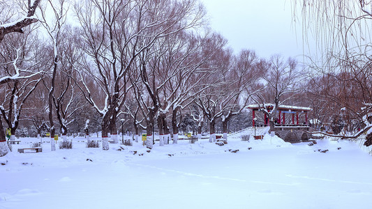 呼和浩特满嘟海公园冬季雪景摄影图