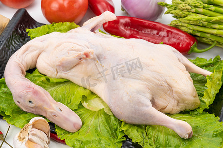 黄沙水产市场摄影照片_水产鸭子食材摄影图