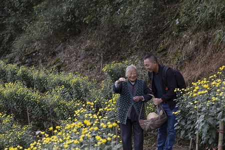 重阳节摄影照片_ 重阳节农村花地的老人照片