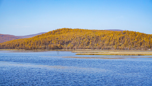 杜鹃湖秋景