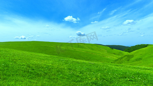 夏季促销海报红色摄影照片_内蒙古草原夏季摄影图