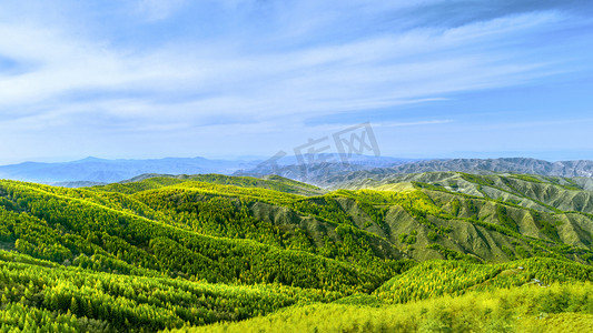 末伏摄影照片_内蒙古苏木山国家森林公园秋季景观摄影图