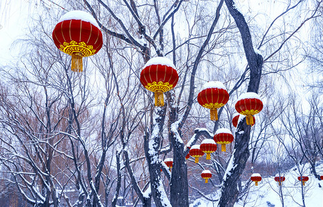 内蒙古冬季摄影照片_内蒙古冬季白雪红灯笼摄影图