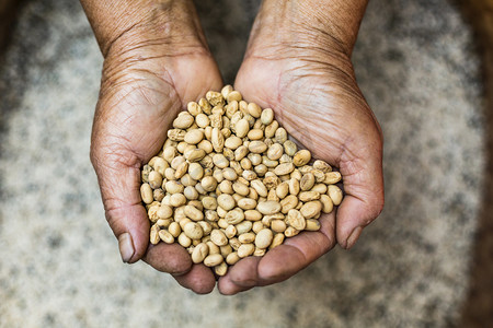 粮世界粮食日摄影照片_农民粮豆子摄影图
