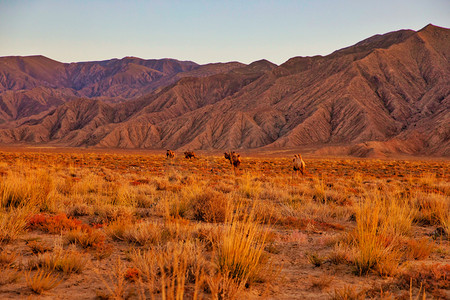 秋天秋季沙漠日落摄影图