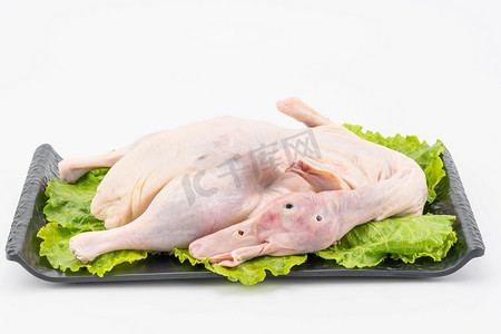 水产鸭子食材摄影图