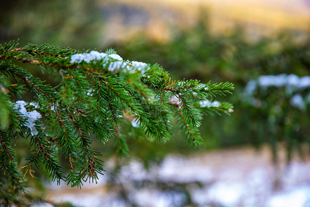 雪花发夹摄影照片_冬日雪花