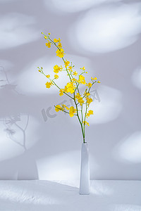 小清新黄色花卉摄影照片_文艺鲜花跳舞兰摄影图