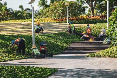 城市绿化工人摄影图