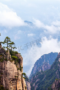 山峰松树和云海的照片