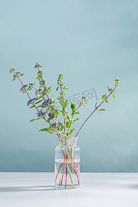 植物清新文艺摄影照片_文艺鲜花植物摄影图