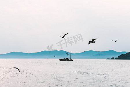 江苏无锡太湖鼋头渚湖水海鸥摄影图