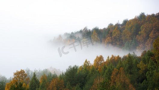 雾绕山间摄影图