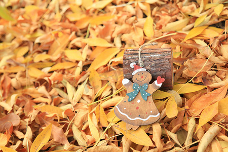 手绘小人摄影照片_秋天的金色落叶和圣诞人偶摄影图