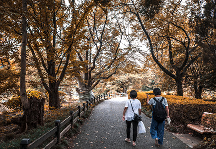 游客摄影照片_秋田森林公园里散步旅行者摄影图