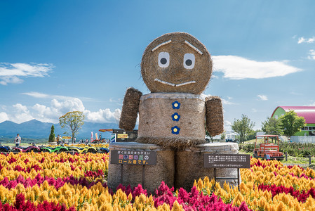 一房两人三餐四季摄影照片_北海道四季彩之丘稻草人摄影图