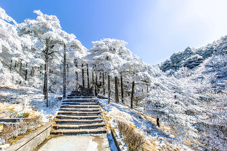 手绘小清新冬季摄影照片_冬季台阶白雪摄影图