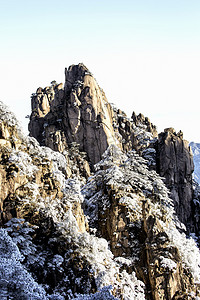 冬天雪岩石和树木摄影图