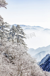 冬天下雪山峰和松树摄影图