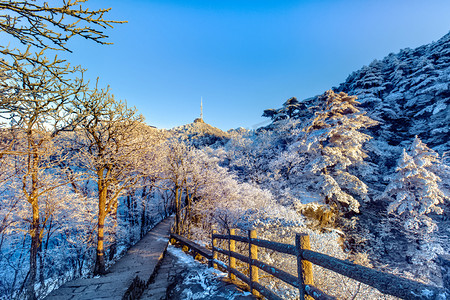 冬季天空道路和雪的照片