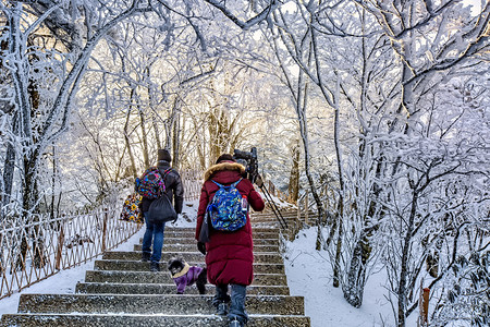 人物狗和雪的照片